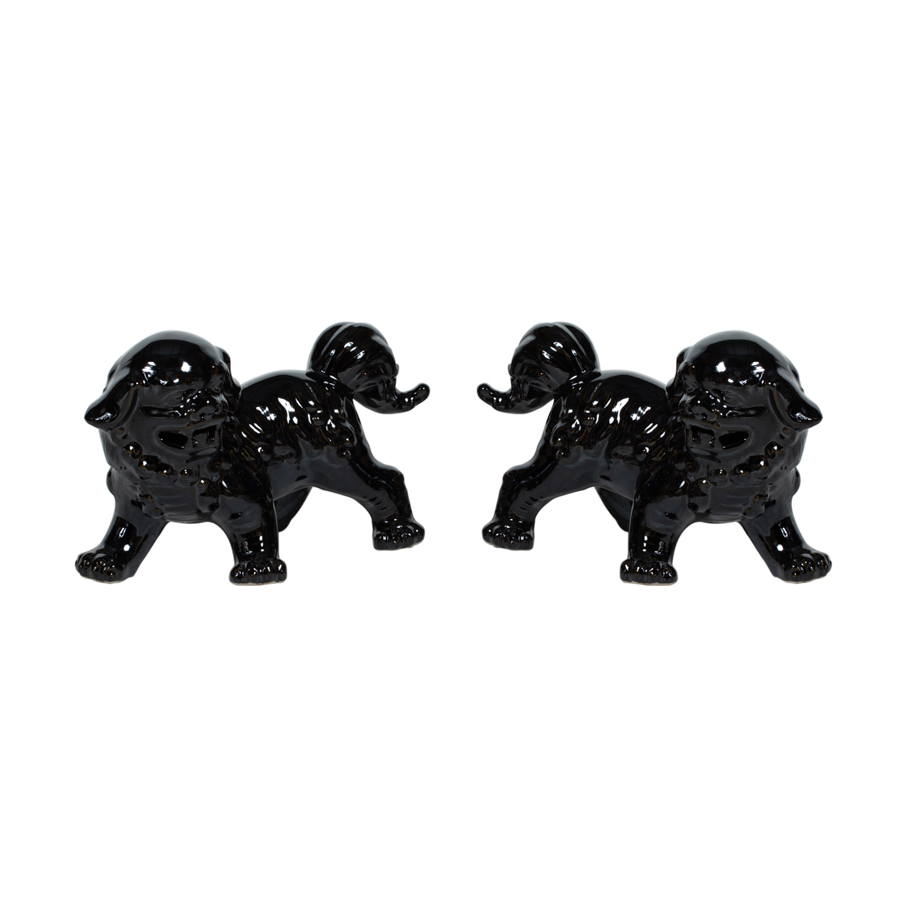 Pareja leones negro